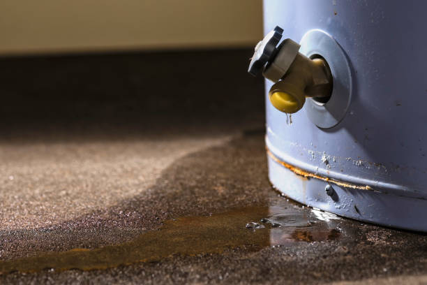 Best Water damage restoration near me  in Villa Park, CA