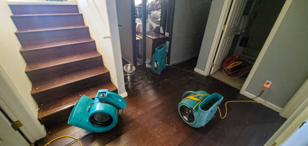 Best Basement water damage restoration  in Villa Park, CA