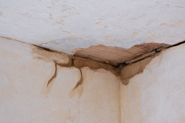 Best Water damage contractors near me  in Villa Park, CA
