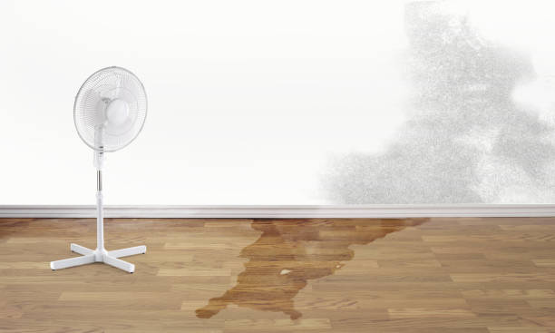 Best Ceiling water damage repair  in Villa Park, CA
