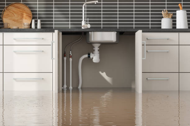 Best Fire Damage Restoration  in Villa Park, CA